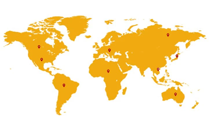 Marketing Network